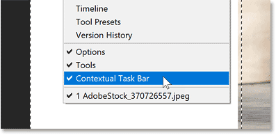 window-menu-contextual-task-bar