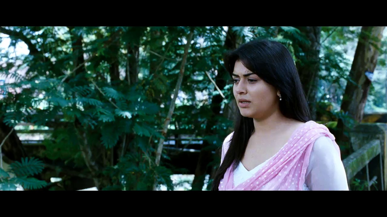 Oh-My-Friend-2011-Blu-Ray-Hindi-Telugu-720p-x264-AVC-DDP-5-1-ESub-mkv-0004
