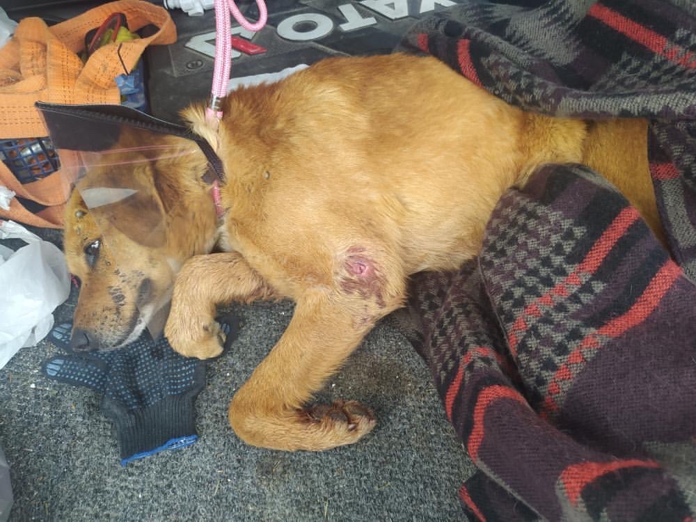 F599FCB5-B343-4534-808A-D81BB64B91BB