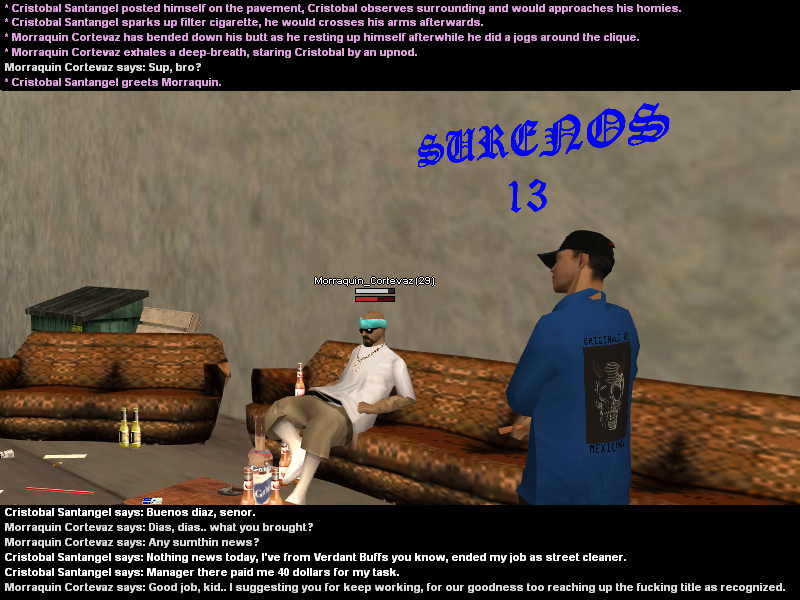 SS1.png