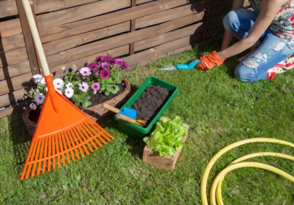 Garden Maintenance Tips 
