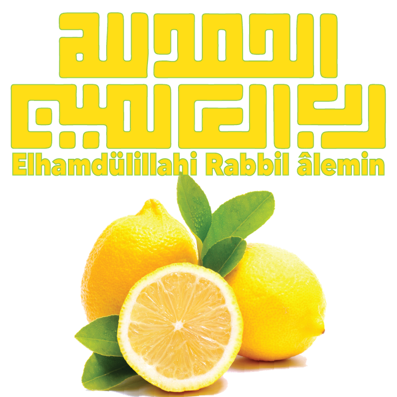 Elhamdü lillâhi rabbil'alemin Ramadi1445 (3)