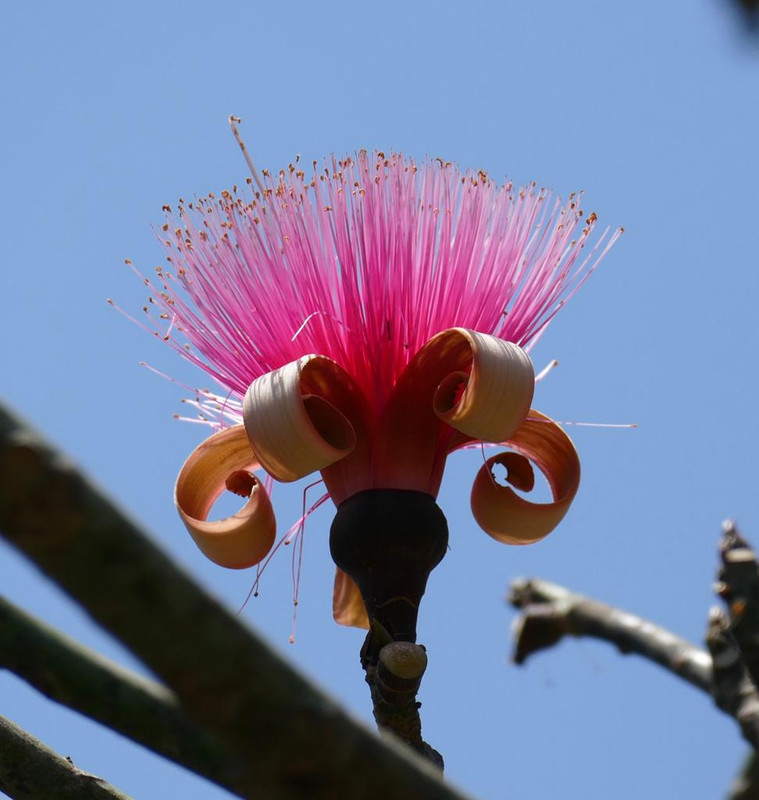 33741EFE-BE93-4DB5-8F5D-8ABF0C99388C