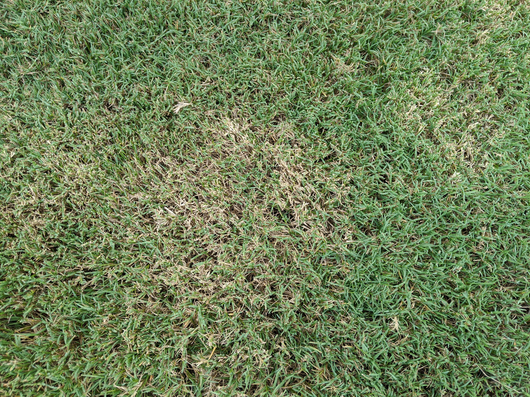 MVIMG_20200729_162244