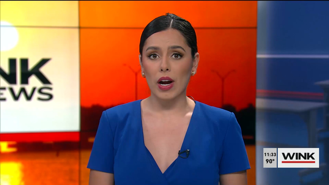 07.23 - 16.30.00 - WINK NEWS at 11 30am. Midday news..ts_snapshot_09.53.100