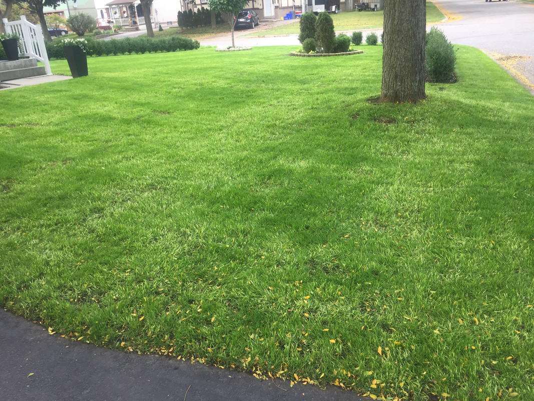 C1740311-73FF-4120-B673-05997EFD10EE