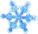 A png of a snowflake