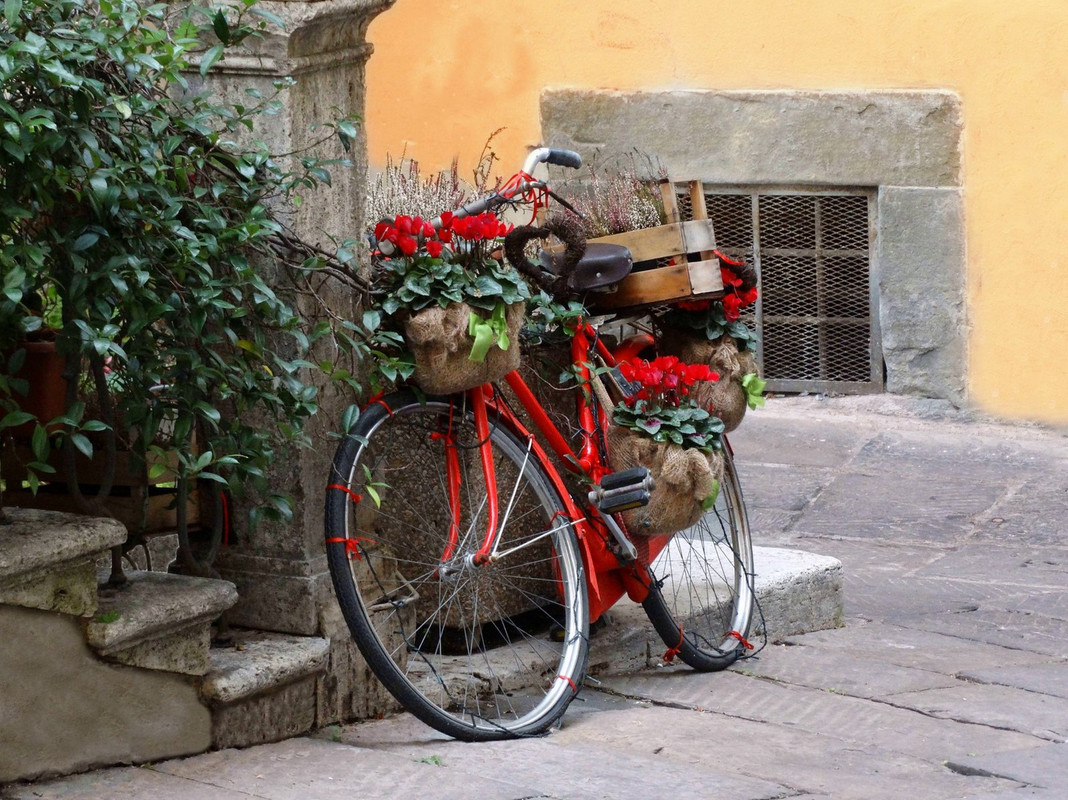 red-bike-dis1.jpg
