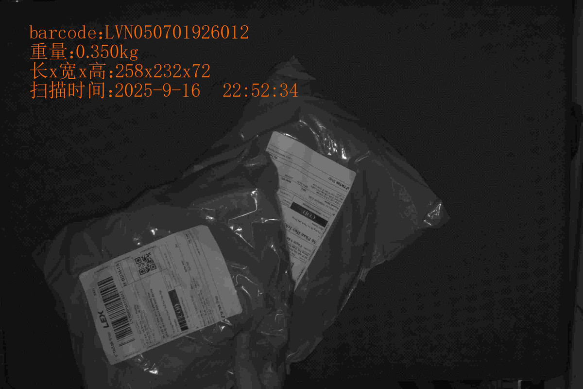 LVN050701926012_258_232_72_0.350_2025_9_16_22_52_34