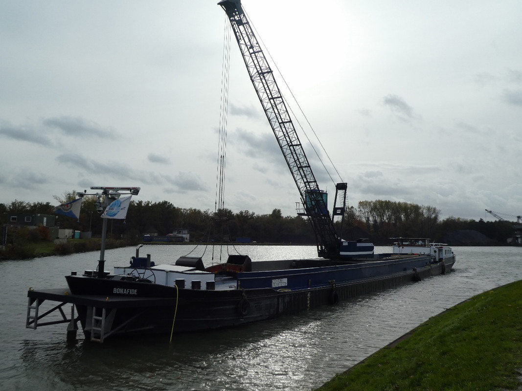 2020.10.29a Bonafide (1280x960)