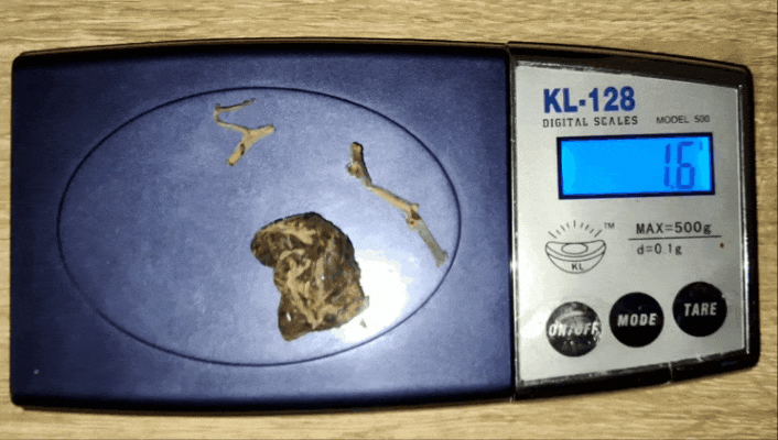 GIF-20250429-192534-739.gif