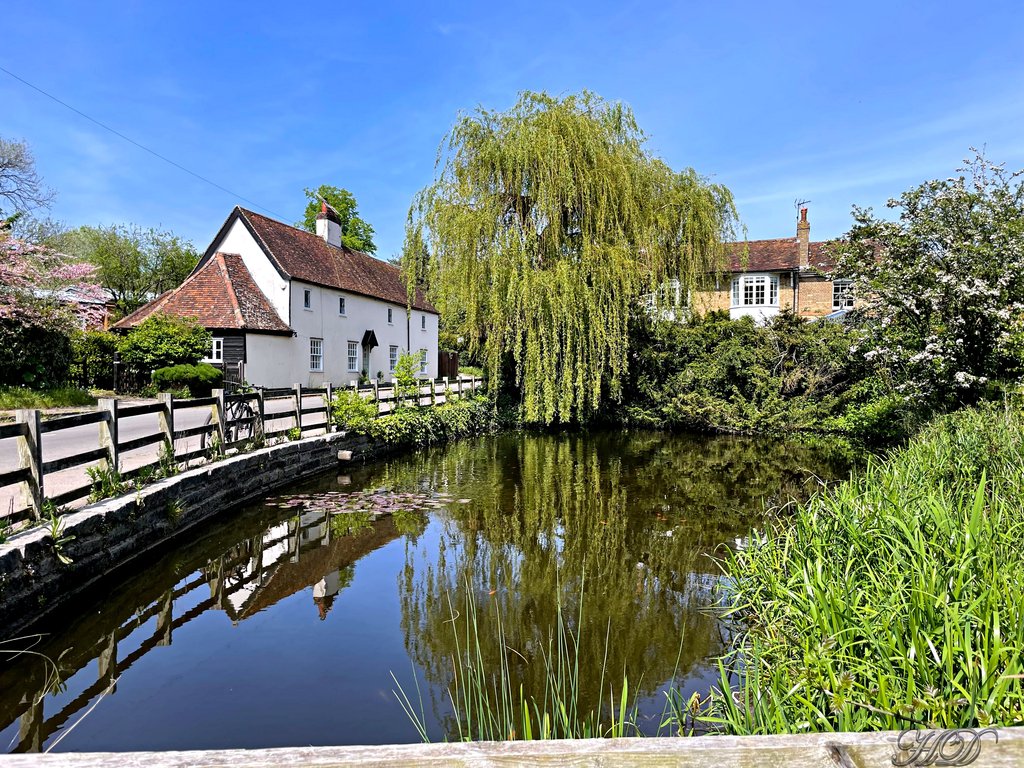 Village-Duck-Pond-HD.jpg