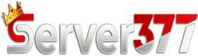 SERVER377 Logo