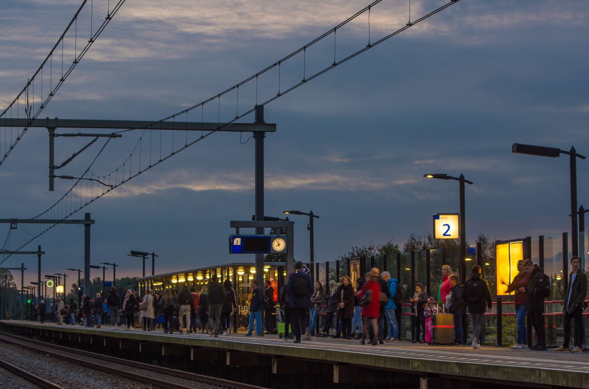 Fotografie