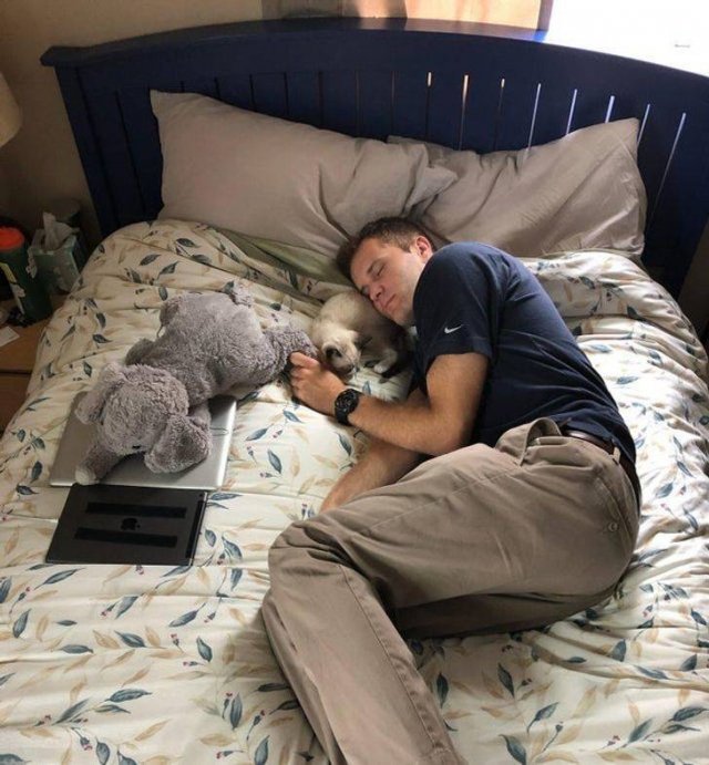 Pets-20