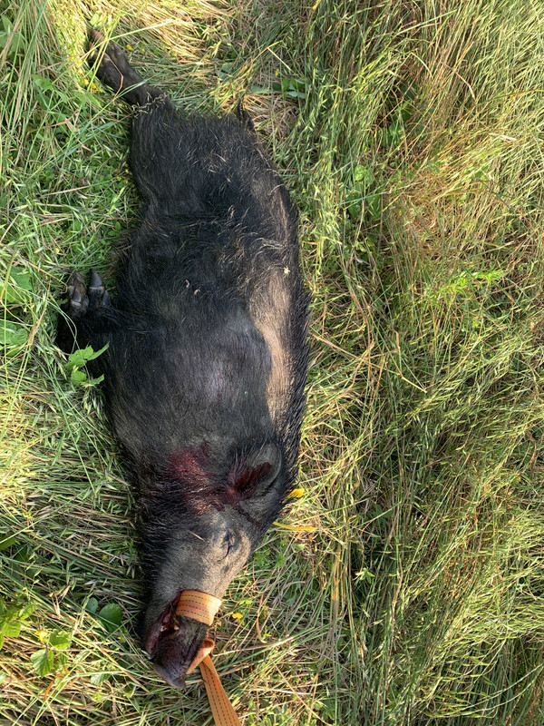 8DC5C901-AEAE-4FF2-B3CB-F886FC192351