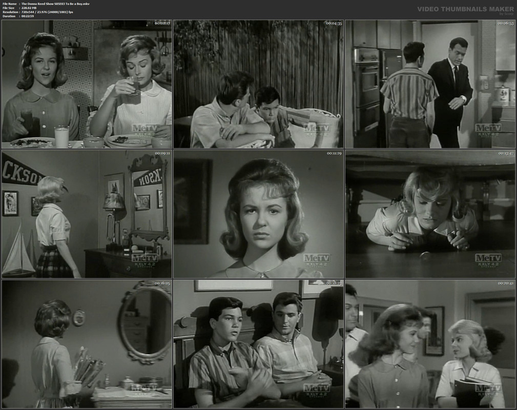 The Donna Reed Show S05E03 To Be a Boy.mkv