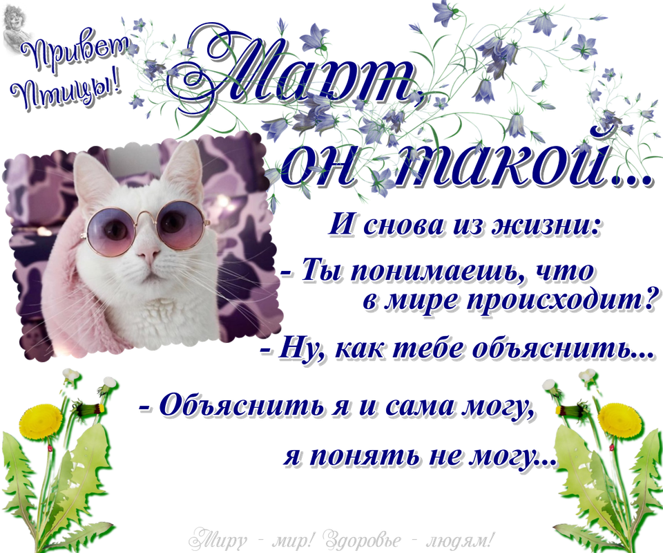 https://i.postimg.cc/cCYLvTRc/27-03.png