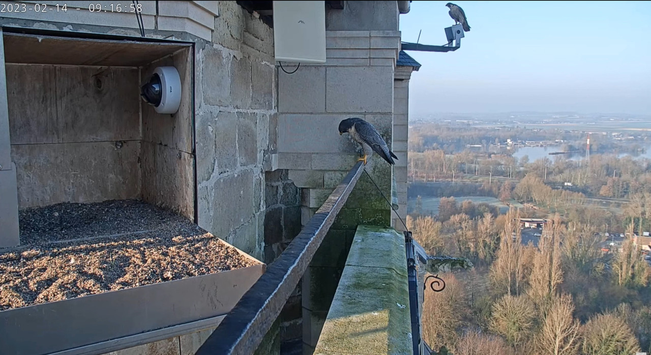 Oudenaarde. (Jay en Ula.) Bria en Grey - Pagina 2 2023-02-14-093655