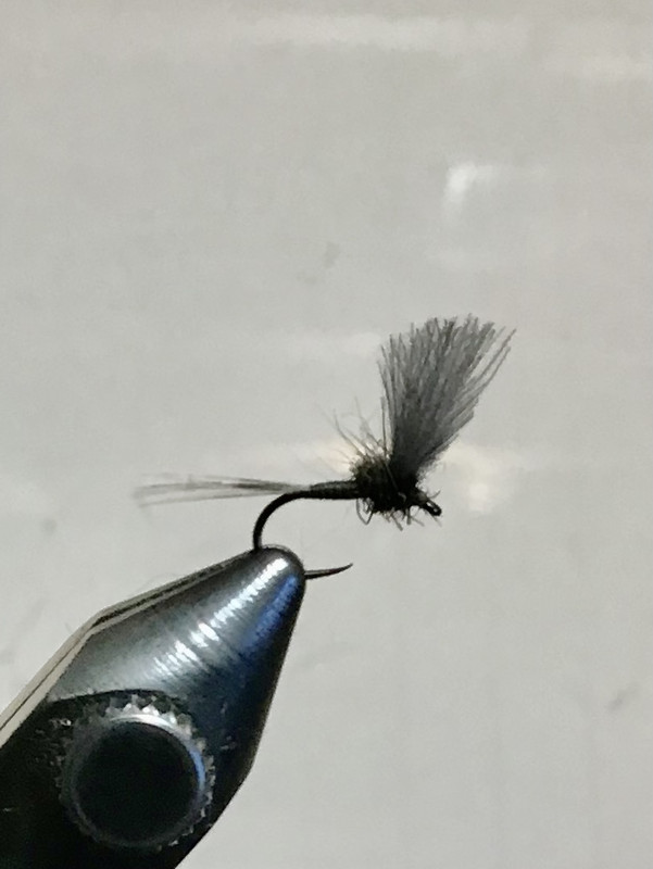 4DCAAB95-1B0A-4940-A645-67AFE8AF6D62