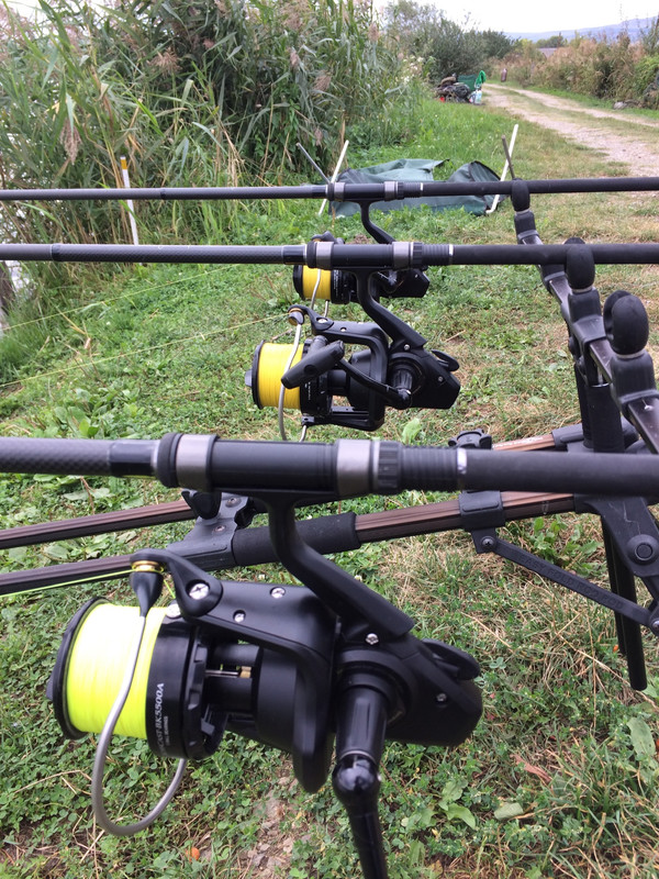 B16D6FB3-5A25-4F20-B541-FE8C1D46DDE9