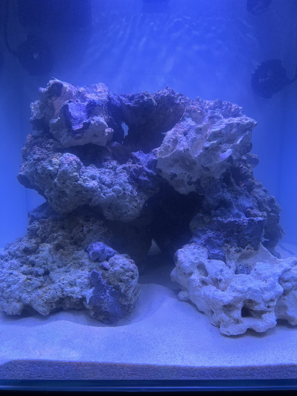 3B14D34F-6B74-4185-92F6-B557085E346C