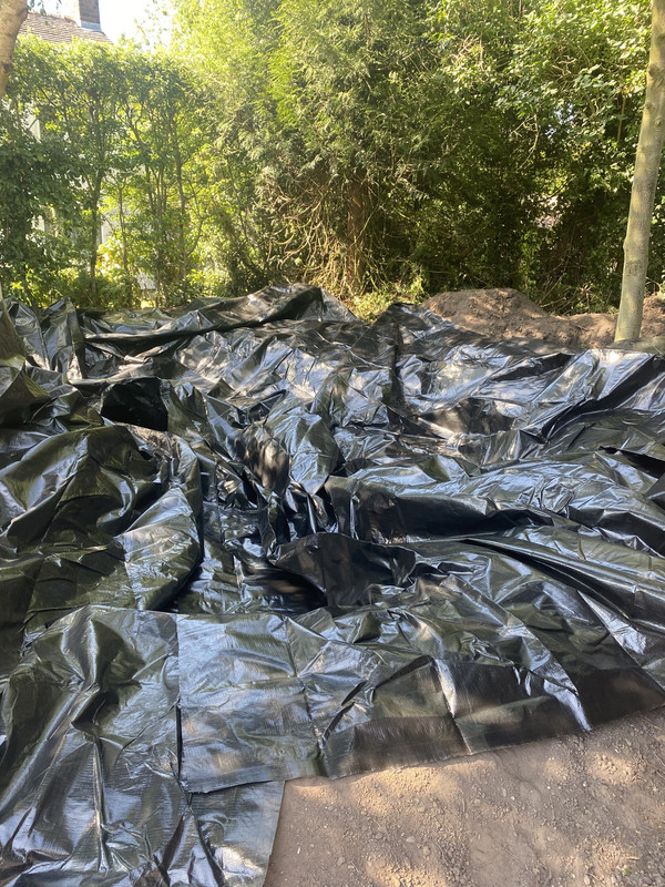 ABD6A11A-5FB5-4B0D-89BA-63A202027B5A