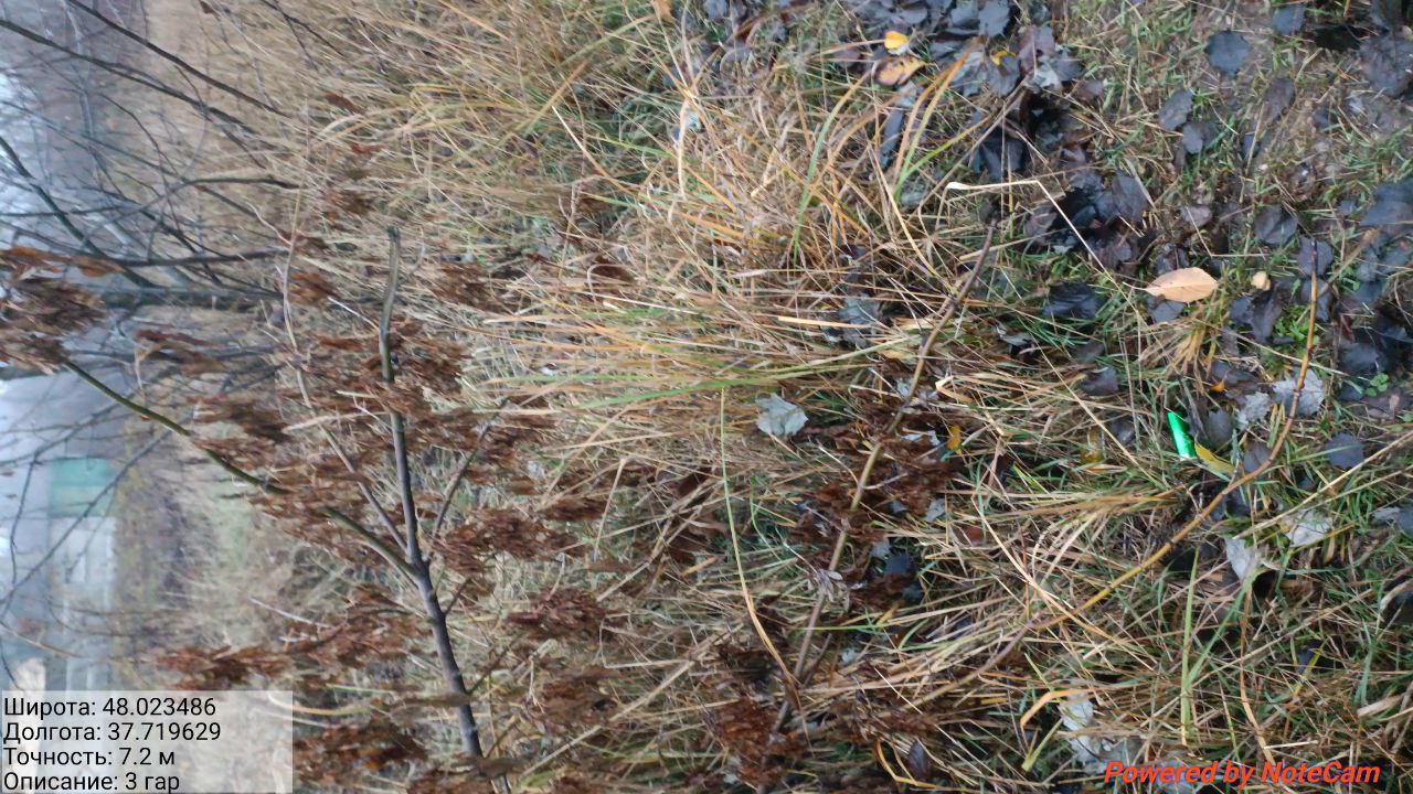 photo 9 2025 11 20 19 47 40