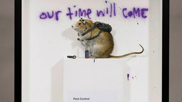 Banksy - l'Arte Della Ribellione [404p].mkv_snapshot_01.09.04.000