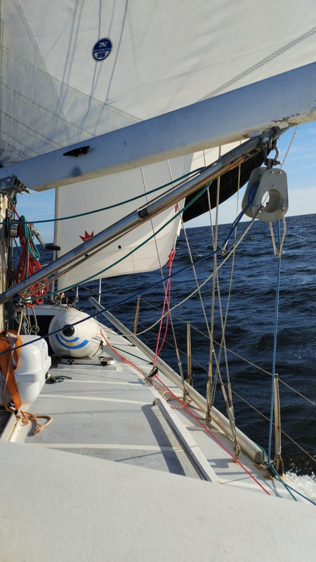 [Imagen: IMG_20251124_WA0010.jpg]