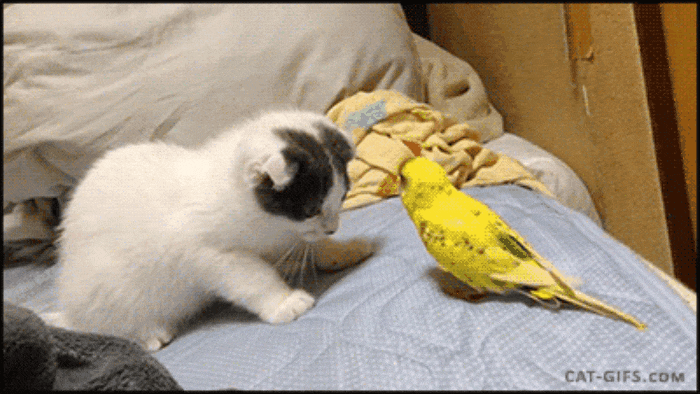 GIF-20250809-205904-990.gif