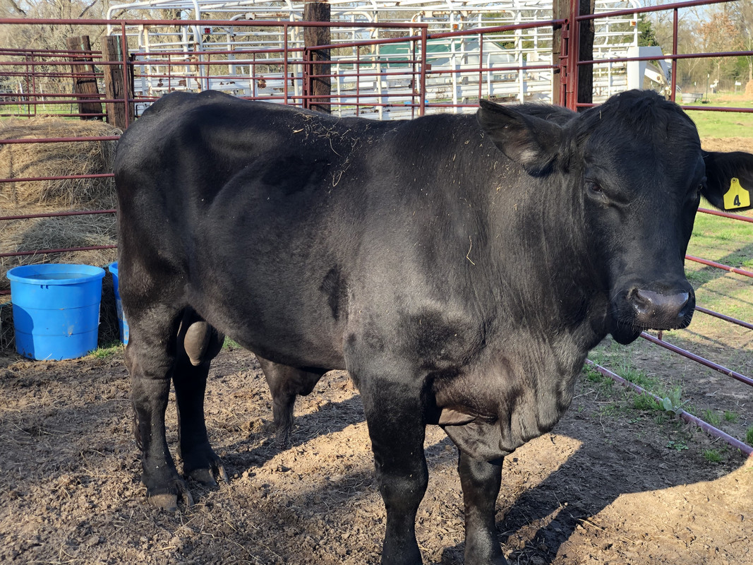 1052C007-48EC-4D97-A76A-C21B3E703FF7