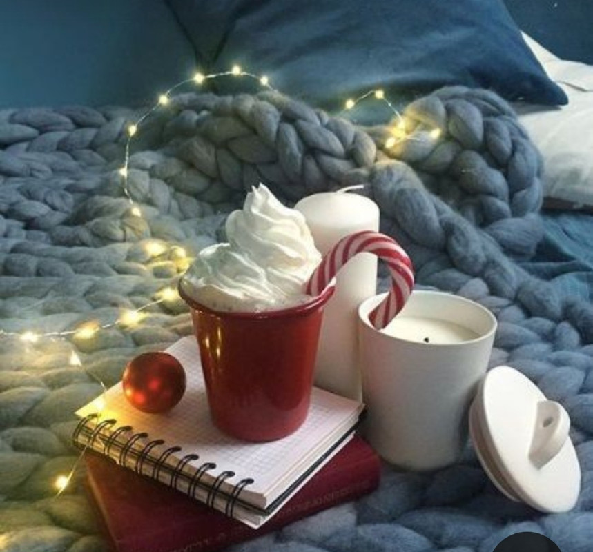 Screenshot_20231121_222751_Pinterest