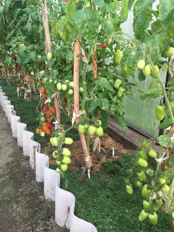 0F91F59D-7531-42CD-86EF-1D4381CCAB5D