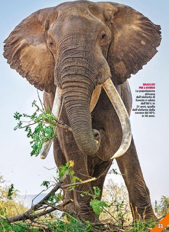 Foc Wil - Mar 2024 (8)