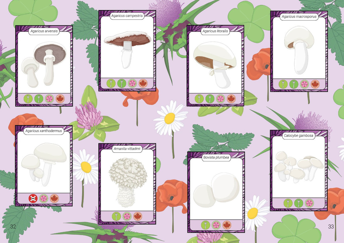 WhatsApp Image 2022-12-03 at 13.39.43 (4)