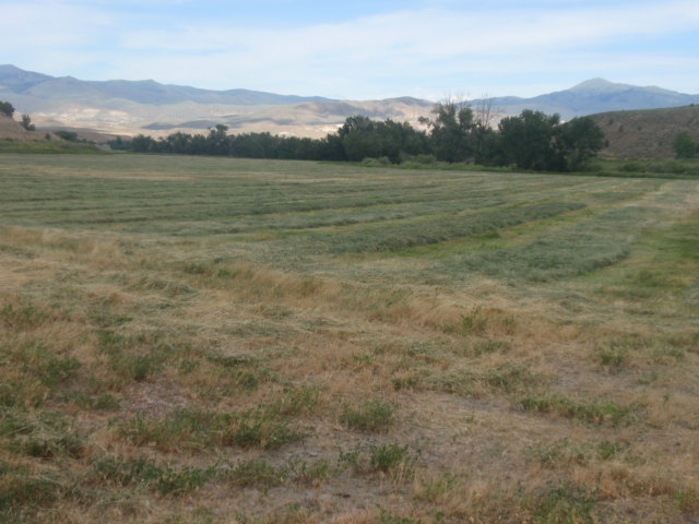 P6301511
