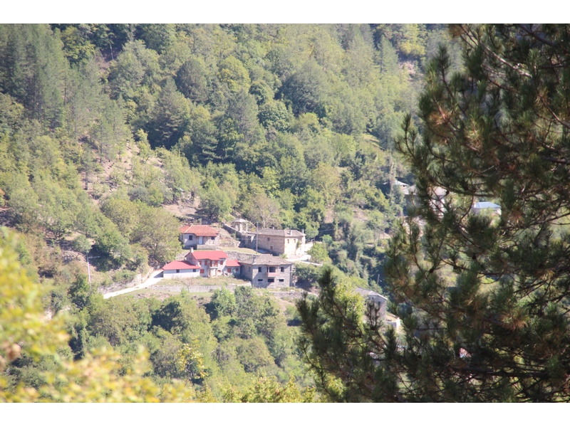 Εικόνα