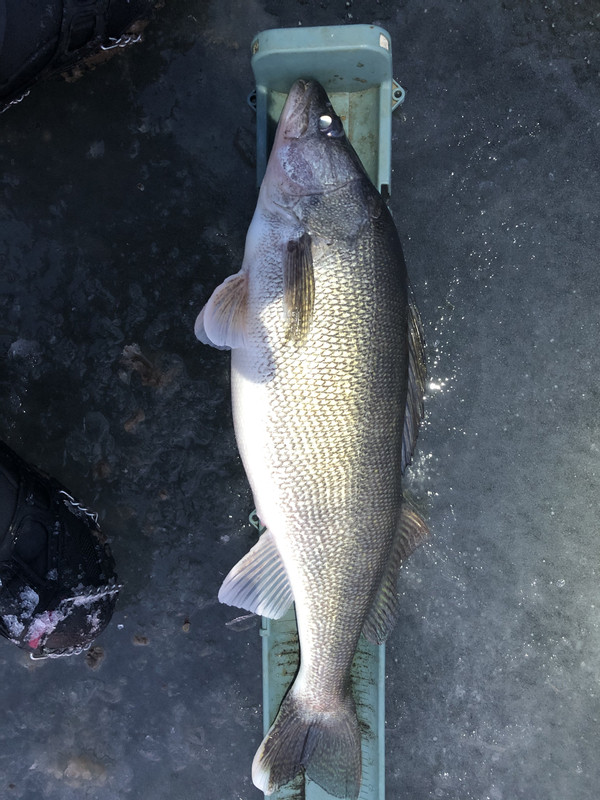 29B157E6-2583-40AB-93B1-FEC95FA5EE67