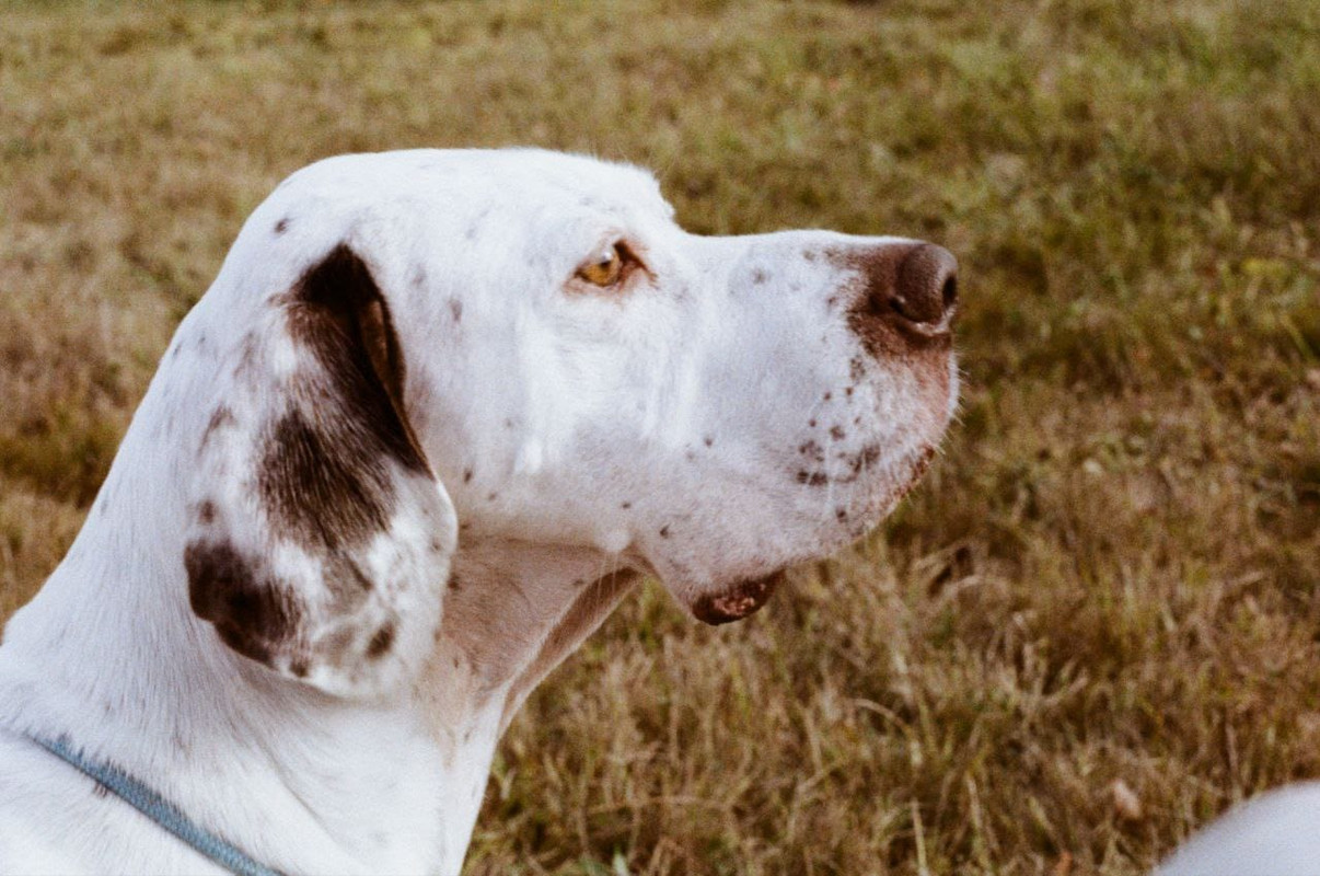 9EE61E57-594F-439B-A733-2280F9C4C9DB