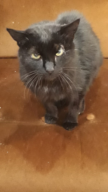 5D2A9229-DC77-48C9-AEA8-3BC3666E22C3