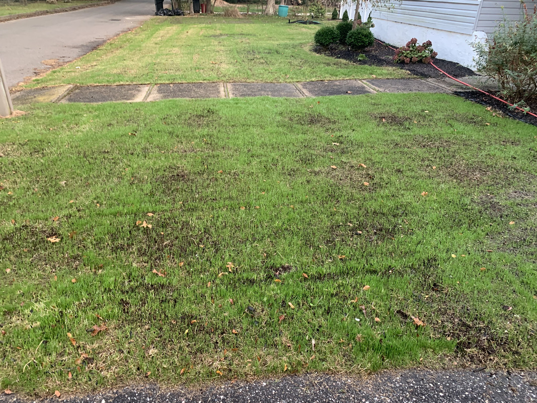 91A73150-D7E9-4CC6-81CB-C88E1638C3A4