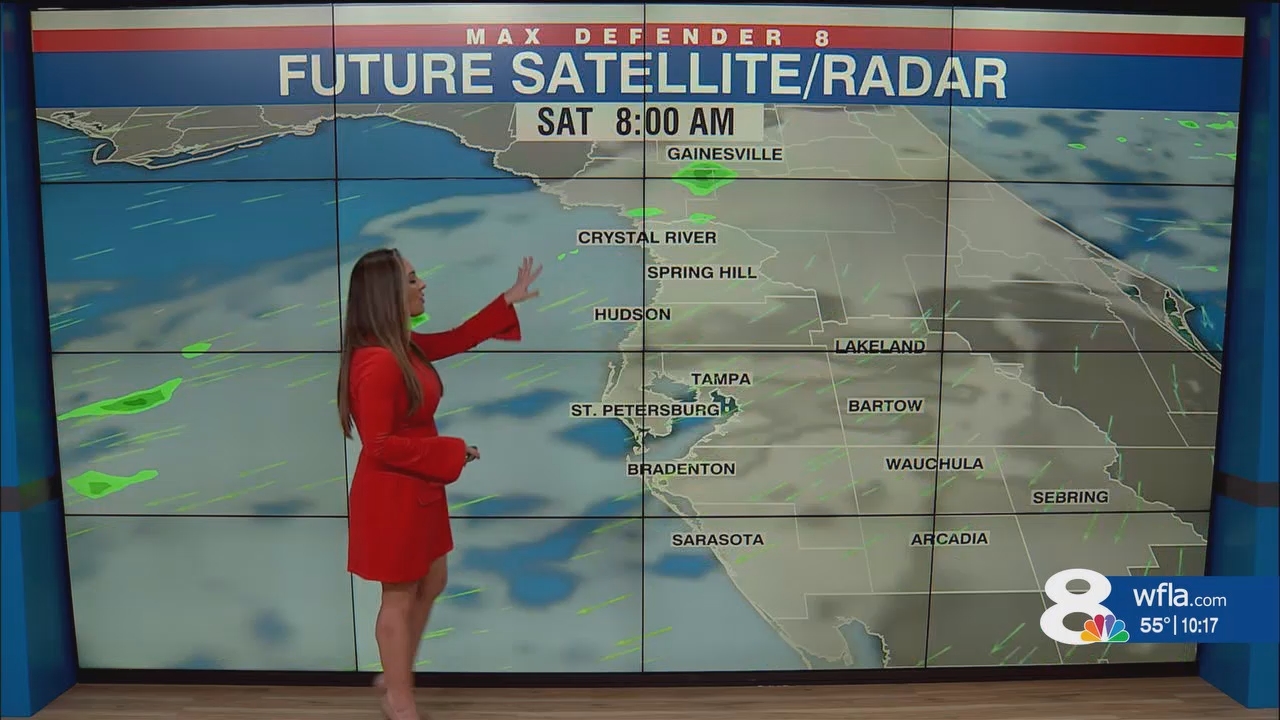 NewsChannel 8 News at 1000pm_20250222_03000330.ts_snapshot_17.58.540