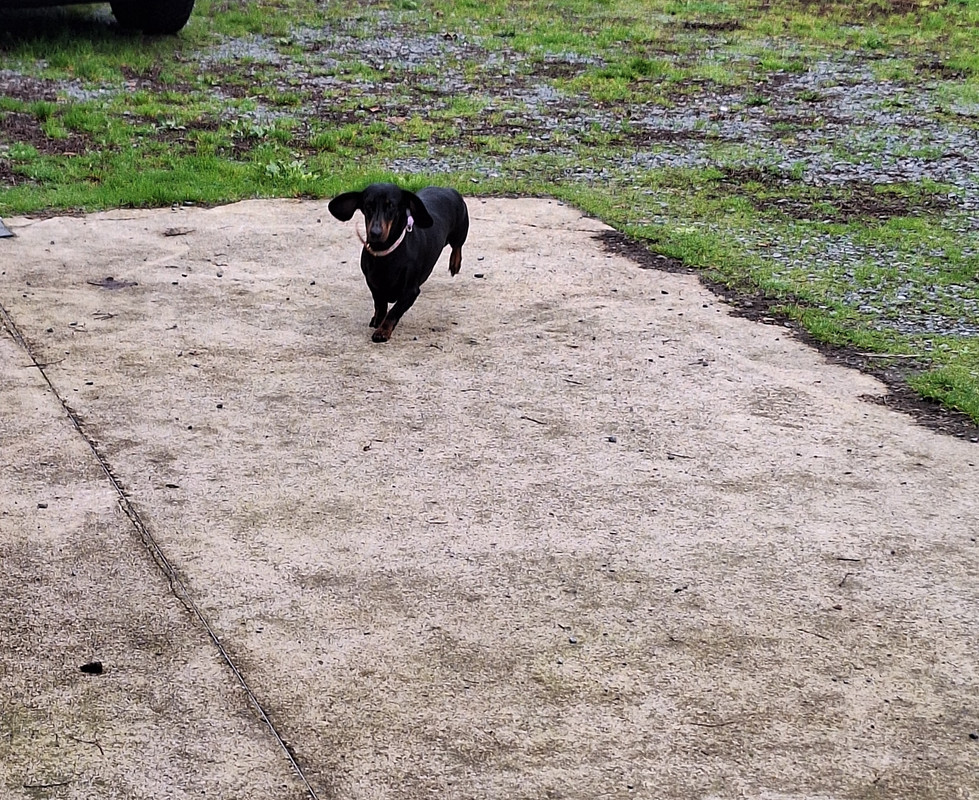 [Image: 20241027-145907.jpg]