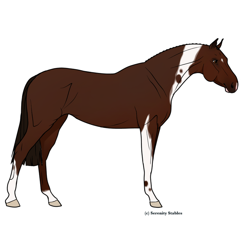 Untitled524-20240517184948.png