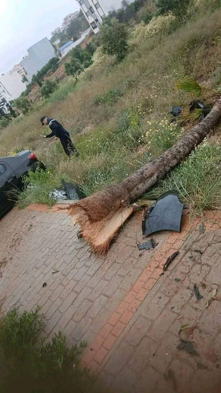 Messenger-creation-3B64077E-A636-4D2C-835E-03A1D8E7EADE