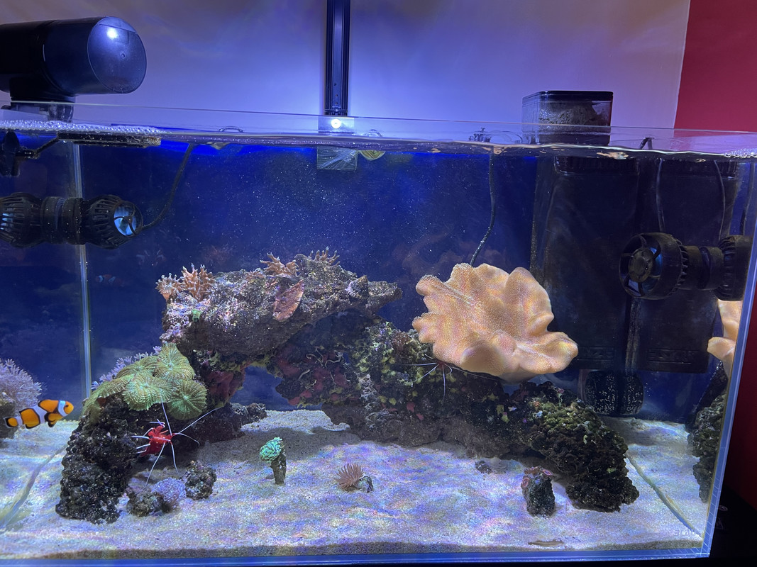 2864D21A-E5E7-46FE-8963-9C385F4F941C