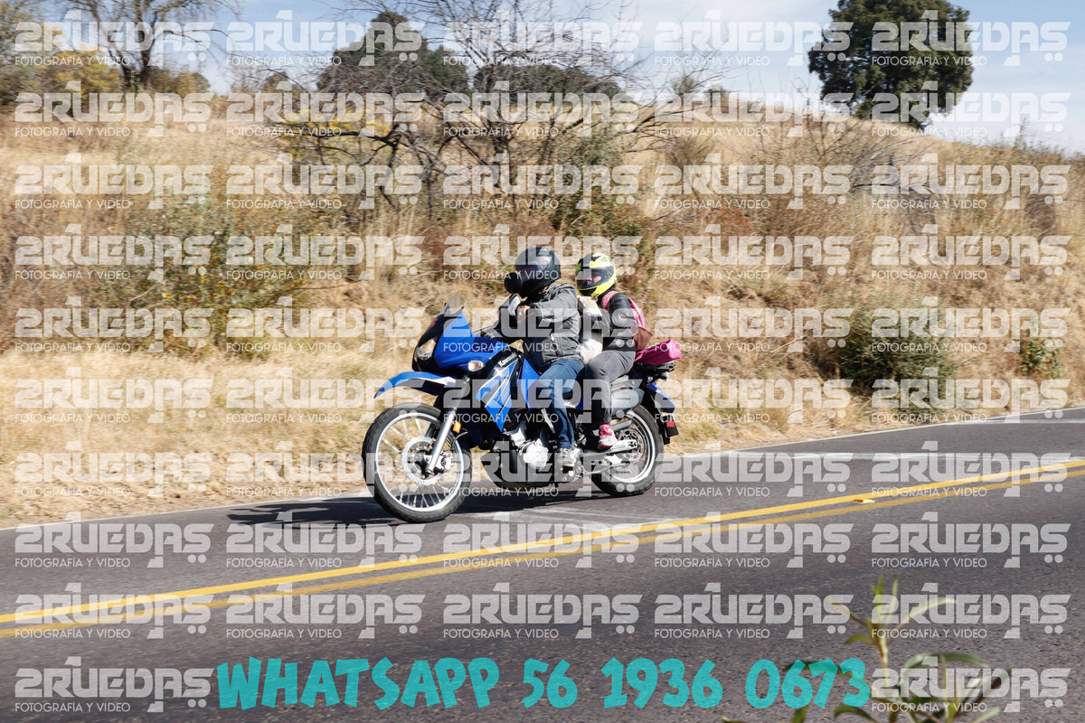 MG 0216 — Postimages