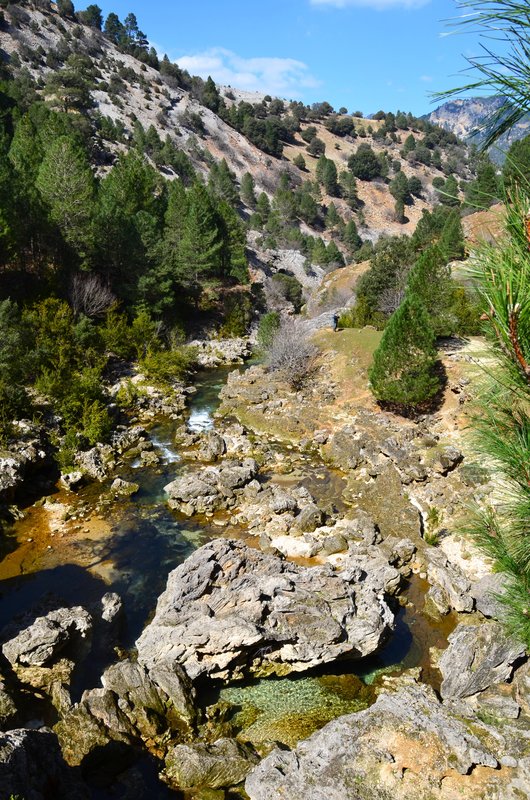RUTA RIO BOROSA-12-3-2016-JAEN - Paseando por España-1991/2016 (99)