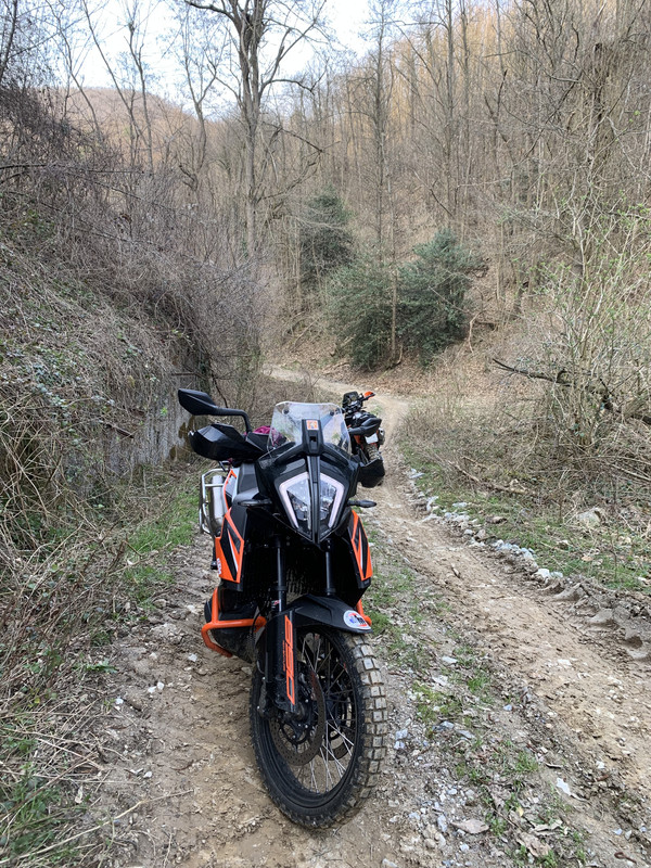 F3FCAEFB-E78E-4D04-886A-02A14B9452E2